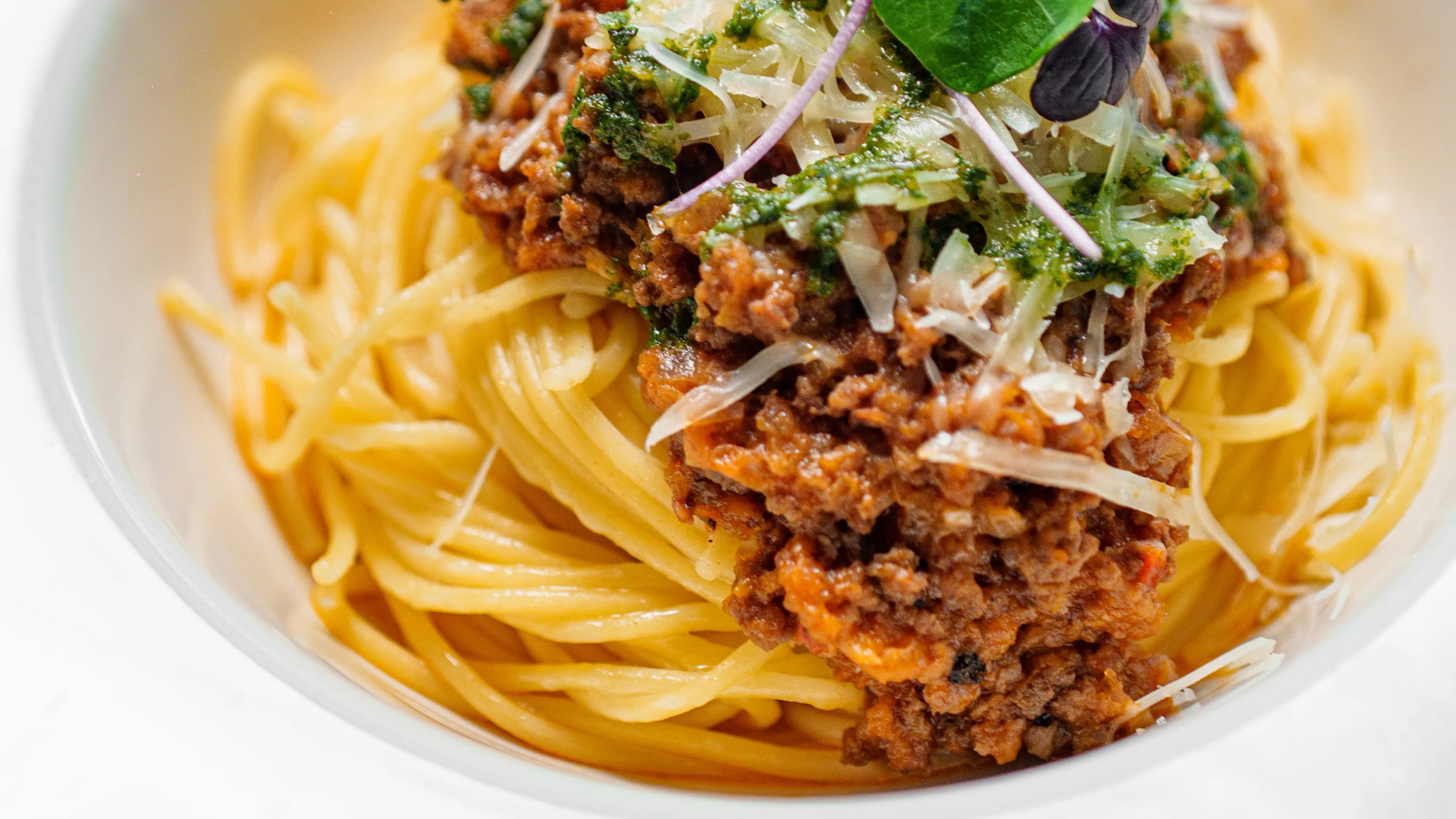 Bolonez