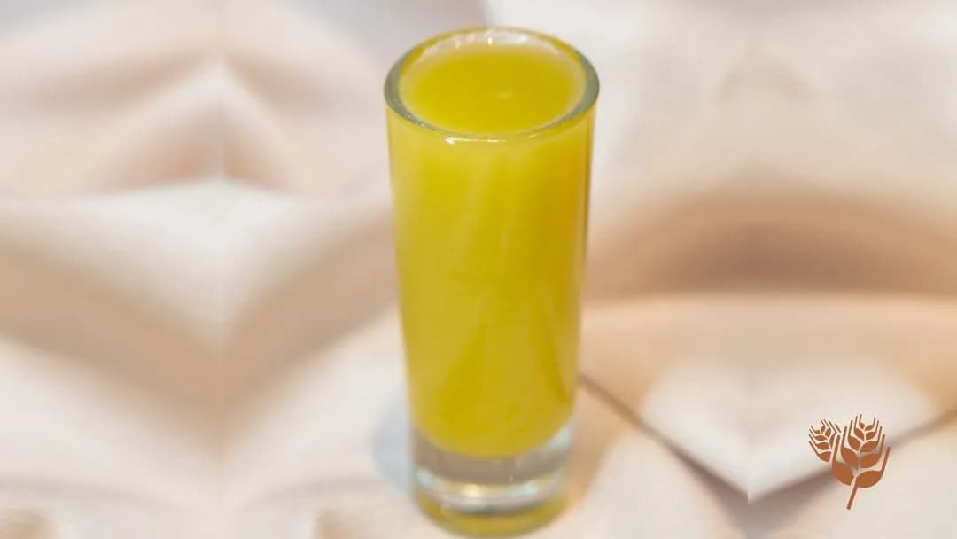 ZENCEFİL SHOT