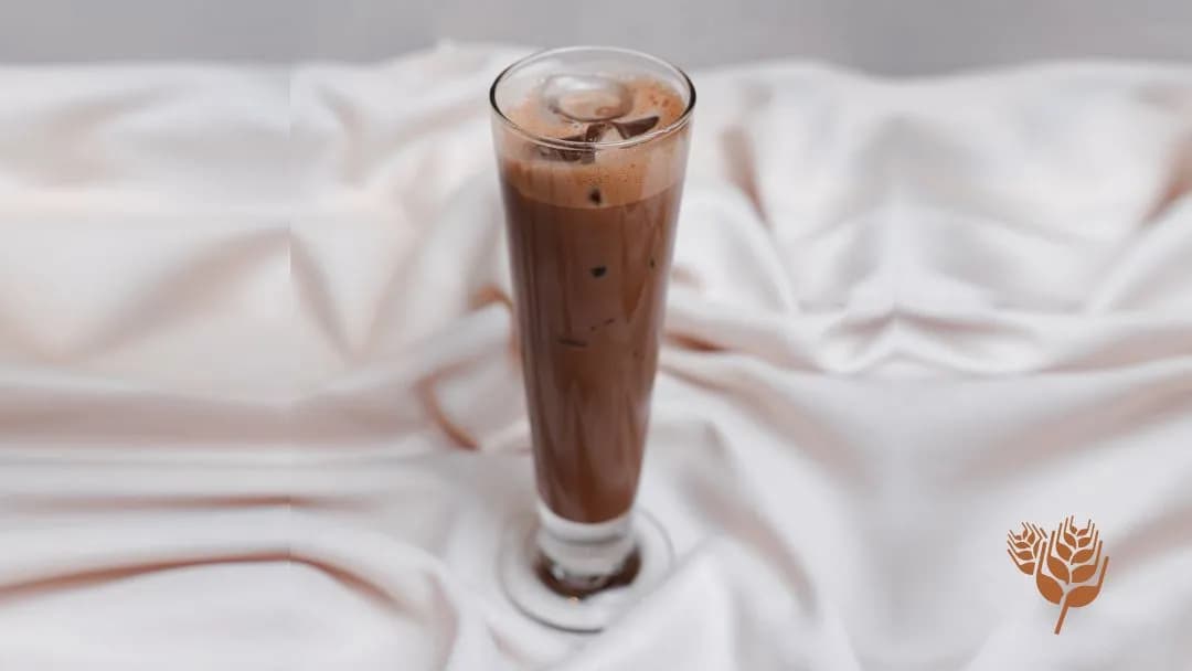 BUZLU MOCACCINO