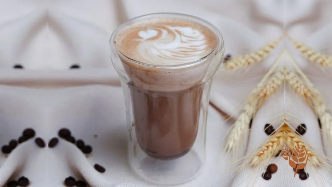 MOCACCINO