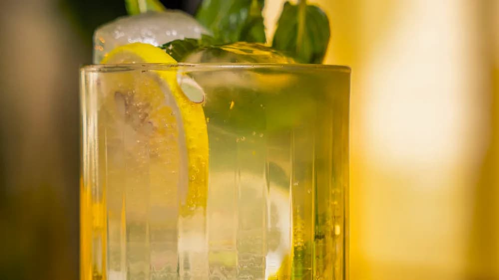 Mohito