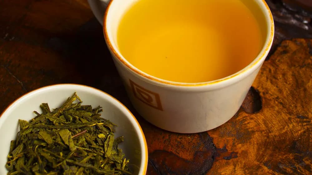 Sencha