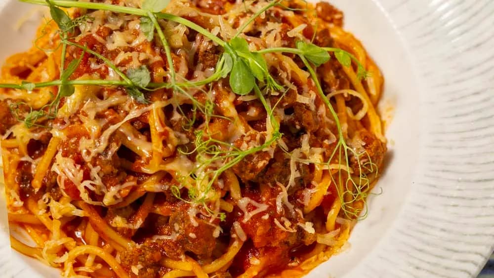 Bolonez