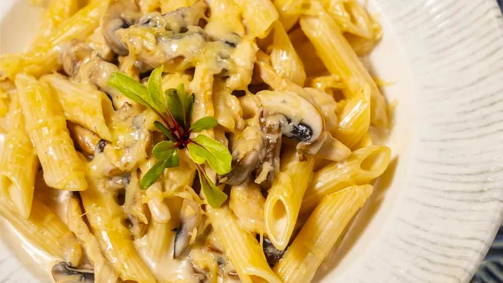 Tavuklu penne