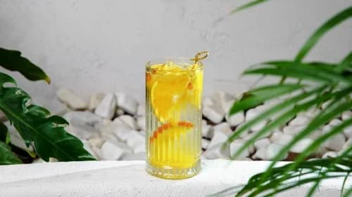 Sitrusly limonad