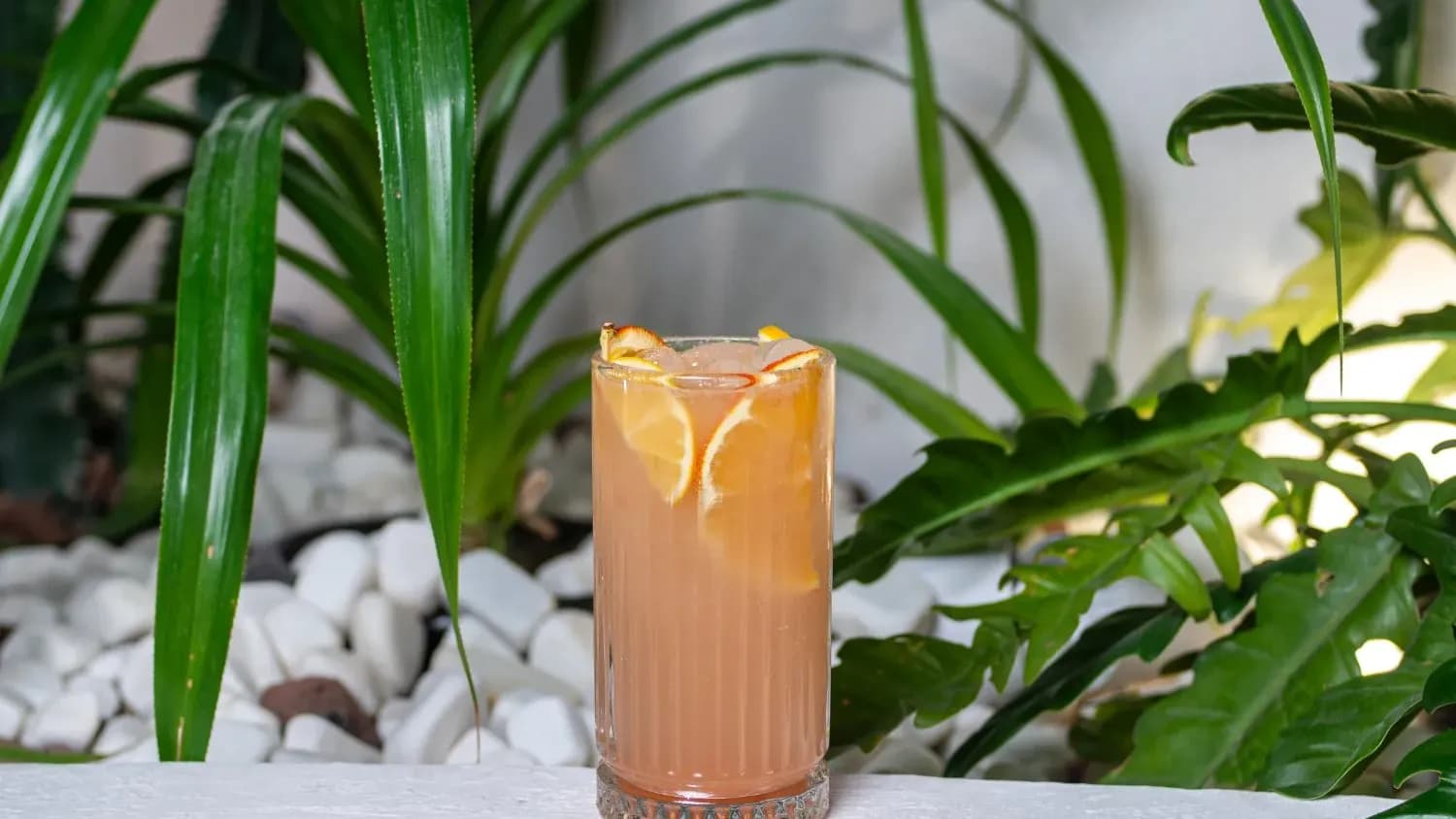 LEMONADE GRAPEFRUIT ELDERBERRY
